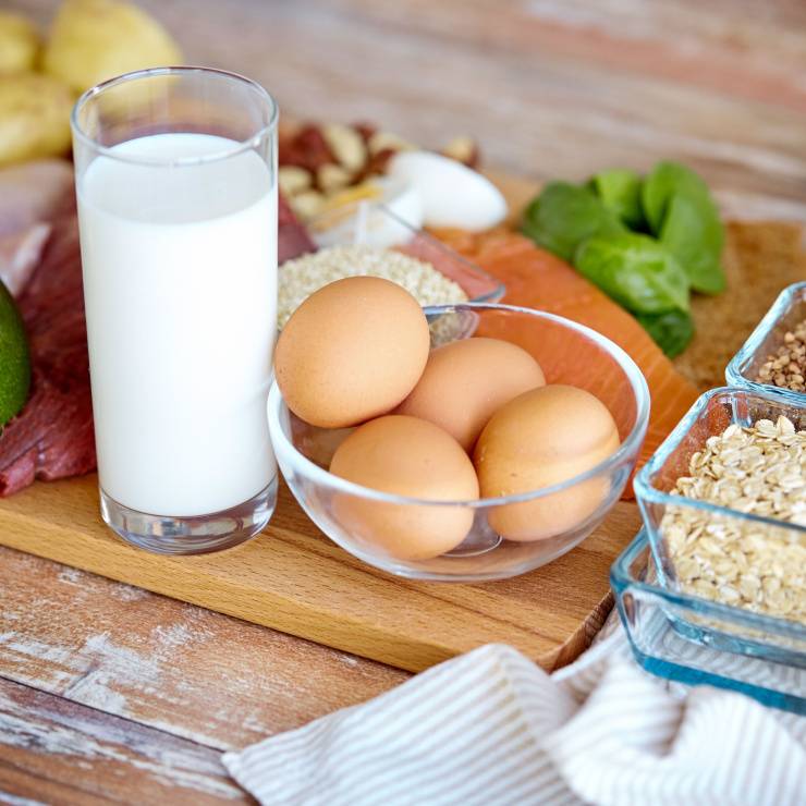Protein vs. Kohlenhydrate