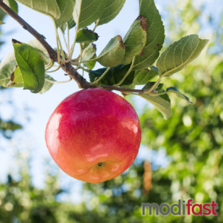 Une pomme chaque jour