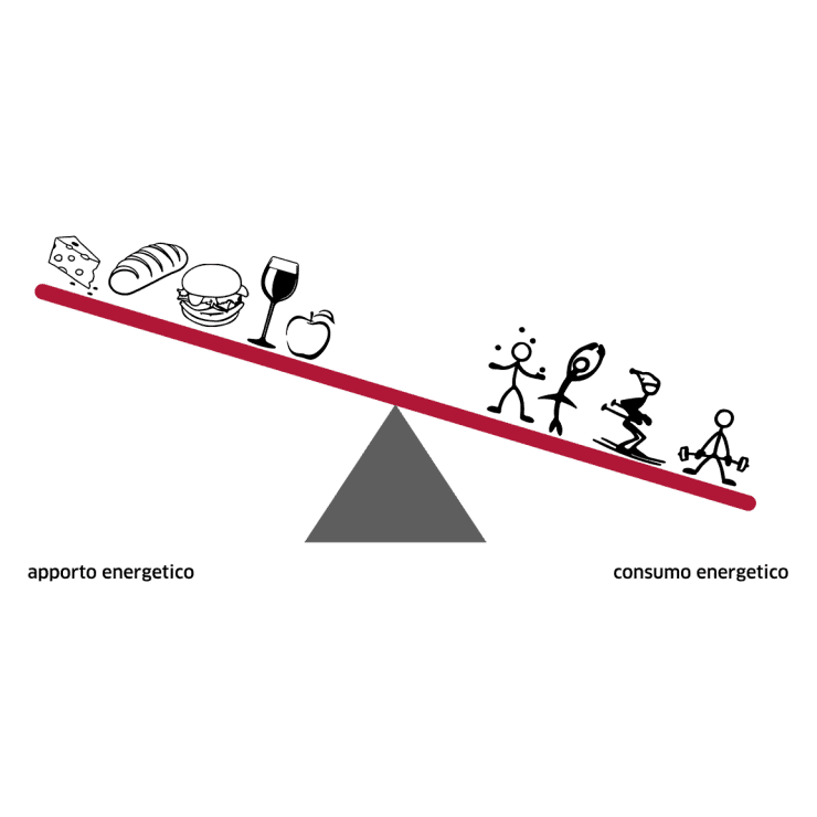 Energiezufuhr, richtige Energiebilanz